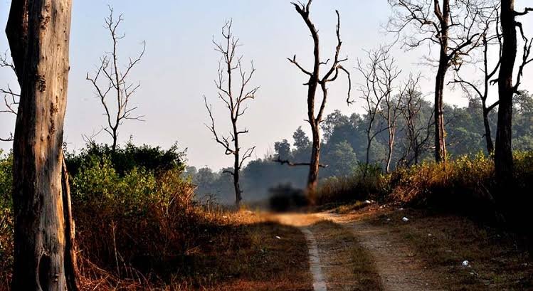 Rajaji National Park