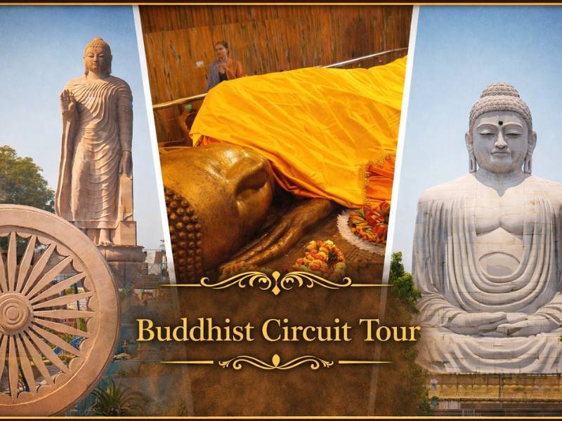 Buddhist Circuit Tour