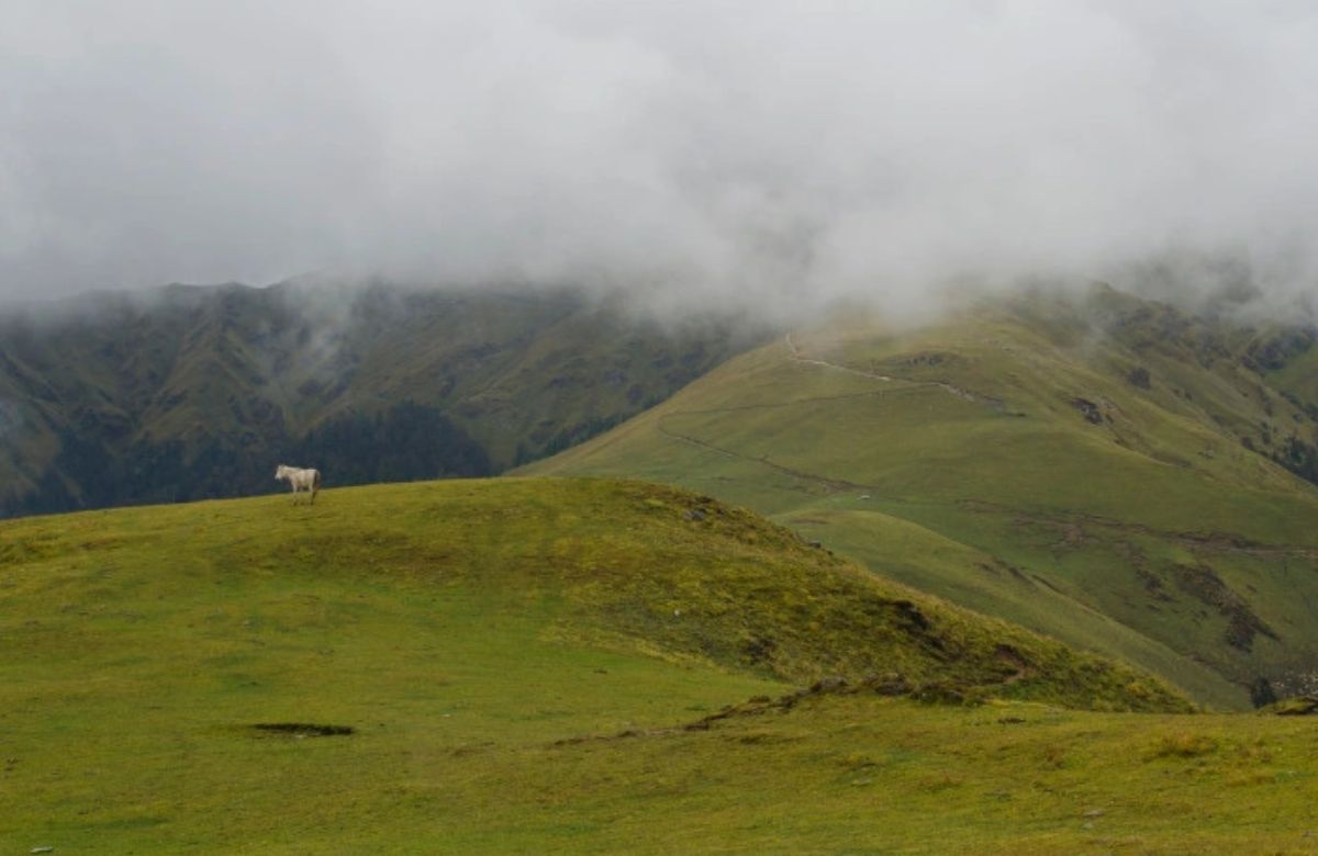 Ali Bedni Bugyal trek: Post Mansoon Trek in Uttarakhand